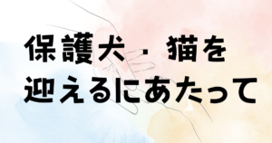 かぼすさんと、お留守番。